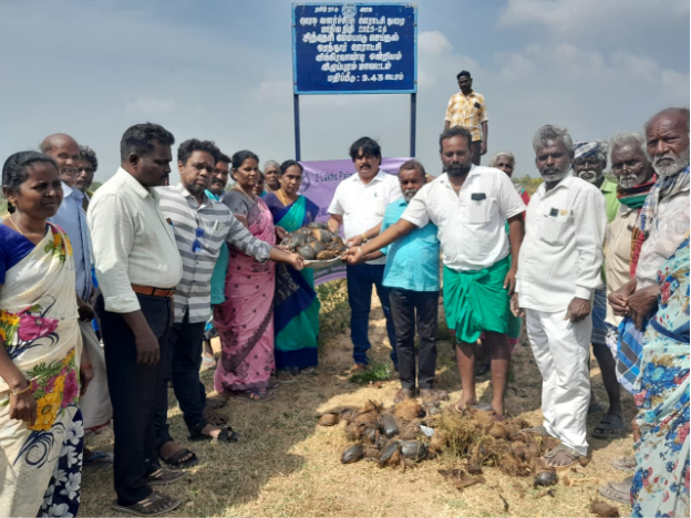 Tree distribution to students