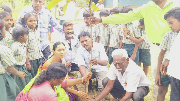 Public receiving tree saplings